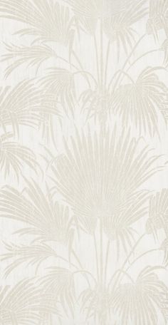 a white wallpaper with palm trees on it