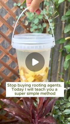 someone is holding a plastic cup with some liquid in it and the caption reads, stop buying rooting agent today i will teach you a super simple method