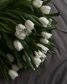 a bunch of white tulips laying on top of a gray bed sheet with green leaves