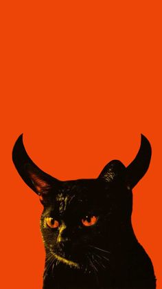 a black cat with horns on it's head is looking at the camera while standing in front of an orange background