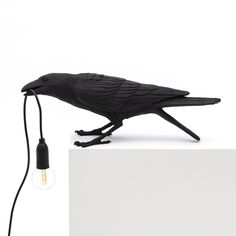 a black bird sitting on top of a white block with a light bulb attached to it