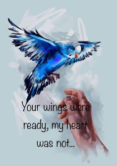 a hand holding a blue bird with the words, your wings were ready my heart was not