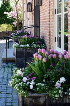 purple and white tulips in front of a brick building with an iron hand rail