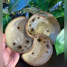 a hand is holding three bowls with brown spots on them