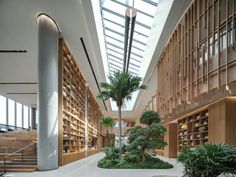 the inside of a library with lots of bookshelves and potted plants on the floor