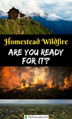 two pictures with the words homesead wildlife are you ready for it?