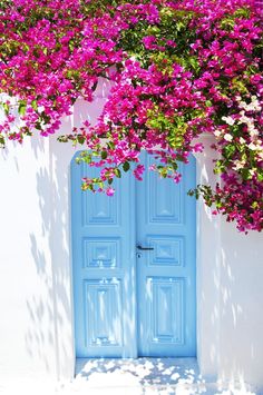 an open blue door in front of a white wall with pink flowers on the outside