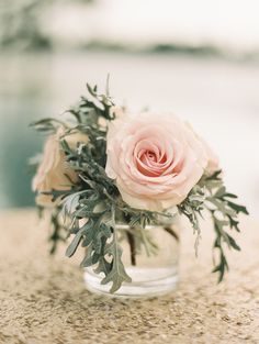 a pink rose in a glass vase with greenery