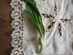 a green plant laying on top of a doily next to a piece of cloth