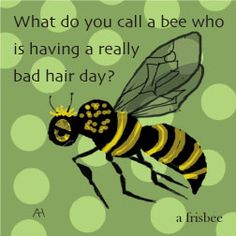 a bee with the words what do you call a bee who is having a really bad hair day?