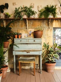 an old blue piano sitting on top of a wooden floor next to potted plants