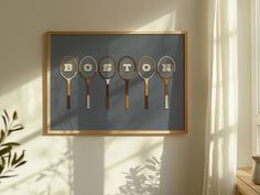 four tennis racquets hanging on the wall in front of a potted plant