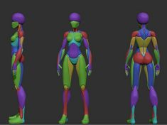 three different views of the human body, including an image of a woman's torso and