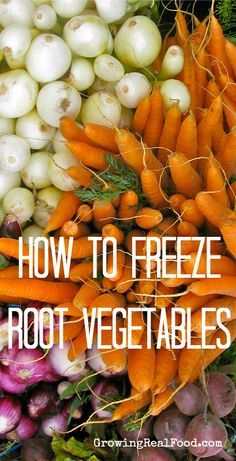 a pile of carrots and onions with the words how to freeze root vegetables