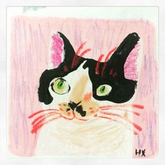 a drawing of a black and white cat with green eyes on a pink paper background