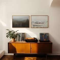 two pictures hang on the wall above a wooden cabinet with record player and plant in it