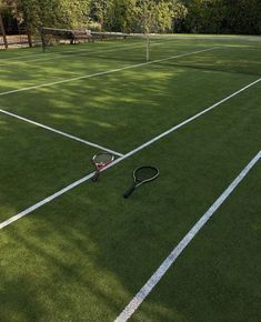 a tennis racket is laying on the grass in front of a net and trees