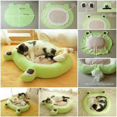 the cat is sleeping in its bed on the floor and it's been made to look like a frog