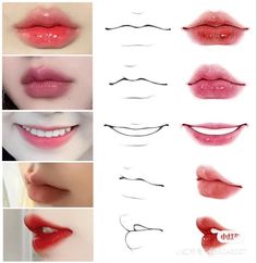 various lips with different shapes and colors on the top one is red, the other is pink