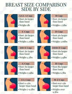 Cup Size Chart Drawing, Bra Sizes Example, Bra Size Chart Cups, Chest Size Chart Women, Cup Size Chart Bras, Bra Types For Dresses, A Cup Size Examples, Women Innerwear Clothing, Bra Measurements Chart