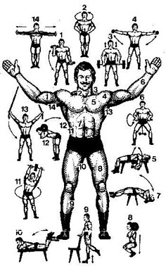 an old black and white drawing of a man's body with many different muscles