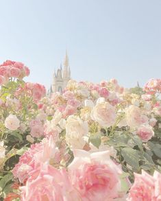 pink and white flowers in front of a castle with a sky background at disney world