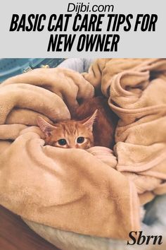 there is a cat that is laying in a blanket on top of a bed with the caption, basic care tips for new owner