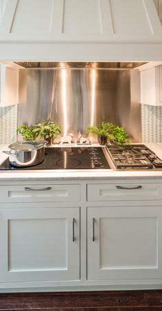 a stove top oven sitting inside of a kitchen next to a pot filled with plants