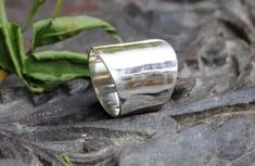 a silver ring sitting on top of a rock next to a green leafy plant