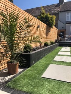 an outdoor garden with grass and plants