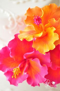 two orange and pink flowers are in a vase on a white tablecloth with beading