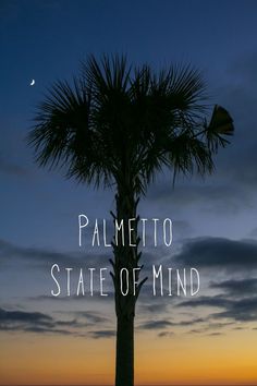 the silhouette of a palm tree against a sunset sky with text that reads, paletto state of mind