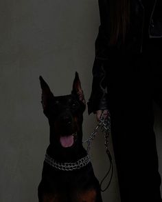 a woman is holding the leash of a large black and brown dog on a chain