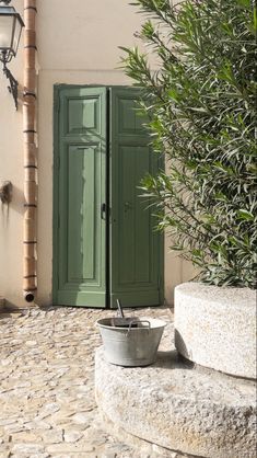 a potted plant sitting on top of a stone floor next to a green door