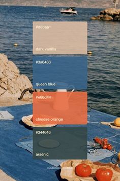 Natural summer 2024 color palette inspiration | Visual identity design Summer Brand Color Palette, Blue Visual Identity, Innovative Color Palette, Blue And Orange Branding, Fish Color Palette, Color Palette Web Design, Blue Orange Color Palette, Cobalt Blue Color Palette, Color Palette With Blue