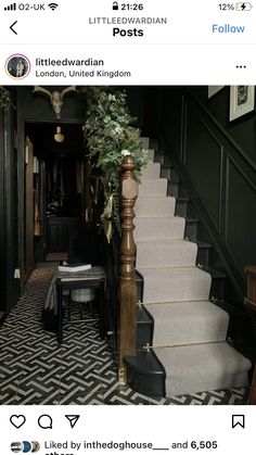 the stairs in this house have been decorated with black and white carpet, which is also painted green