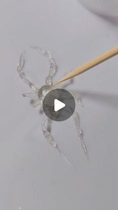 a close up of a spider on a table with a wooden stick in it's mouth