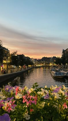 boats are parked along the side of a river at dusk with flowers in the foreground