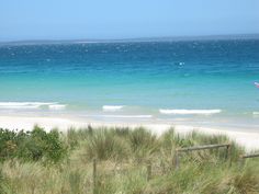 a person standing on the beach with a surfboard in their hand and some grass