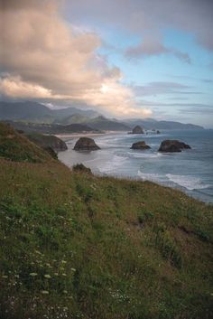 an ocean view with some rocks in the water and green grass on the ground below