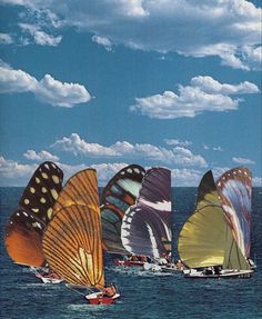 several colorful kites flying in the air over water