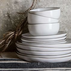 a stack of white dishes sitting on top of each other next to a plant in front of a stone wall