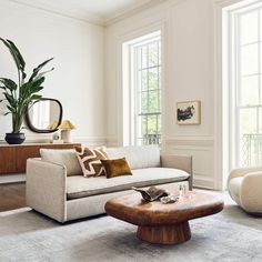 a living room filled with furniture and a large potted plant in the middle of the room