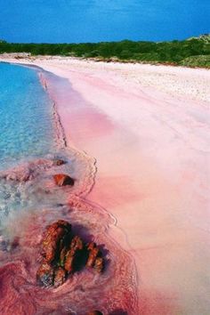 an aerial view of the beach with pink sand and clear blue water in the foreground