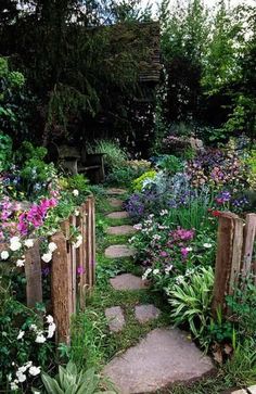 a garden filled with lots of different types of flowers