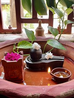 a potted plant sitting on top of a wooden bowl filled with water and candles