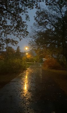 the street is wet and it's not raining at night or early in the evening