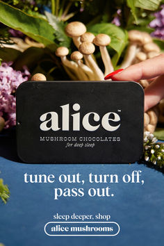 Alice Mushroom Chocolate - Nightcap - A dozy dose of decadent chocolate for restful evenings, deep sleep and a calm mind Courtney Core, Magnesium Sleep, Mushroom Chocolate, Reishi Mushrooms, L Theanine, Calm Mind, Food Fantasy, Herbs For Health, Dream Machine