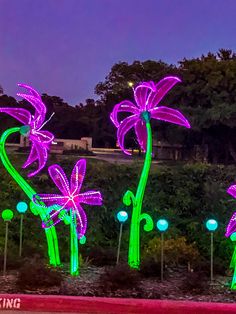 three purple flowers are lit up in the night sky with green stems and lights on them