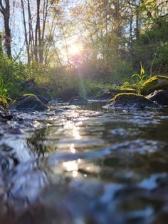 the sun shines brightly through the trees and water in this riverbed area with rocks